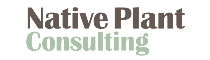 Bus/NP logo