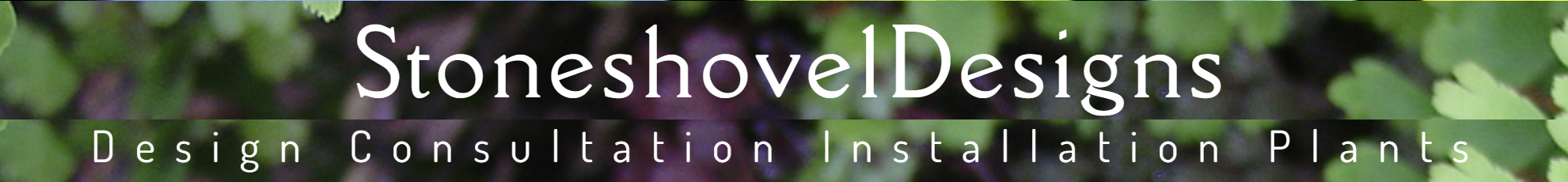 Bus/NP logo