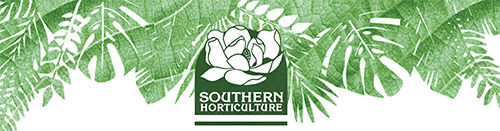Bus/NP logo