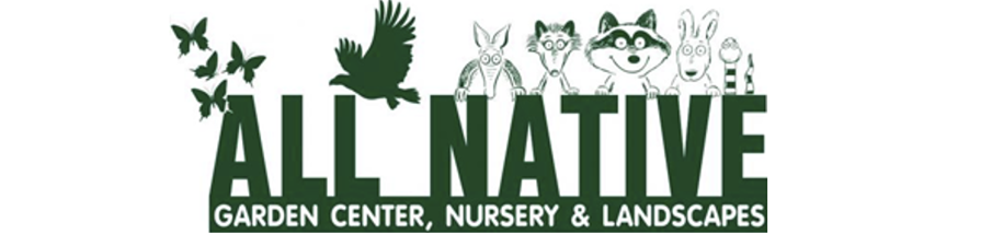 Bus/NP logo
