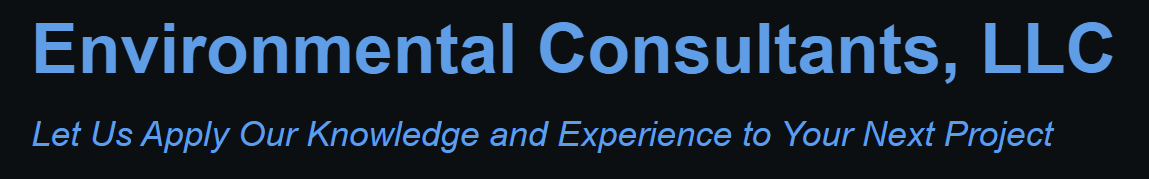 Bus/NP logo