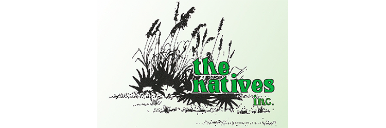Bus/NP logo