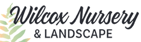 Bus/NP logo